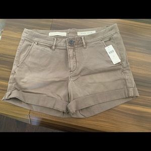 Pilcro Hyphen Shorts, Tan/Beige, Size 28 - NWT